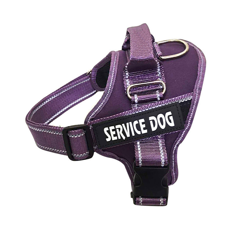 Personalization Of Pet Chest Strap Products